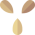 Semienka, orechy